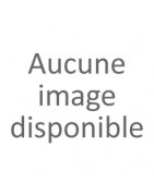Éponges