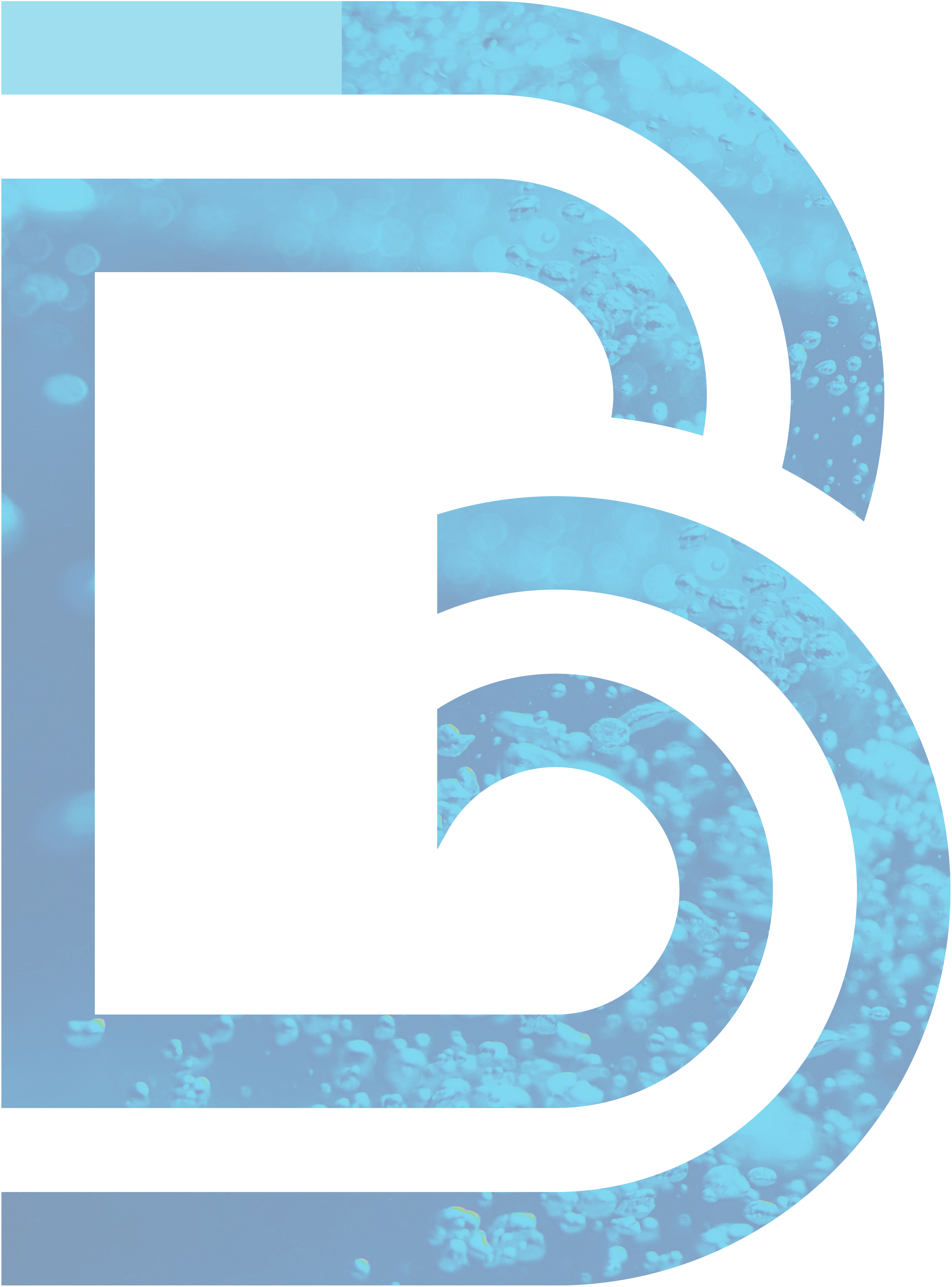 fon-ecran-B-2-2